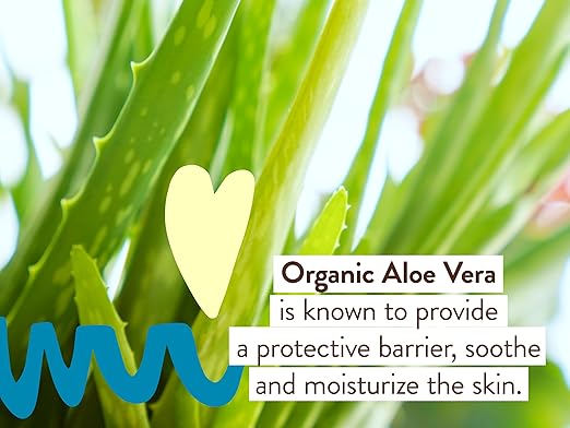 Babo Botanicals Daily Sheer Mineral Face Sunscreen Lotion SPF40 - Natural Zinc Oxide &amp Titanium Dioxide - 70% Organic Ingredients - Raspberry Oil &amp Aloe Vera - Fragrance Free - For Face - For