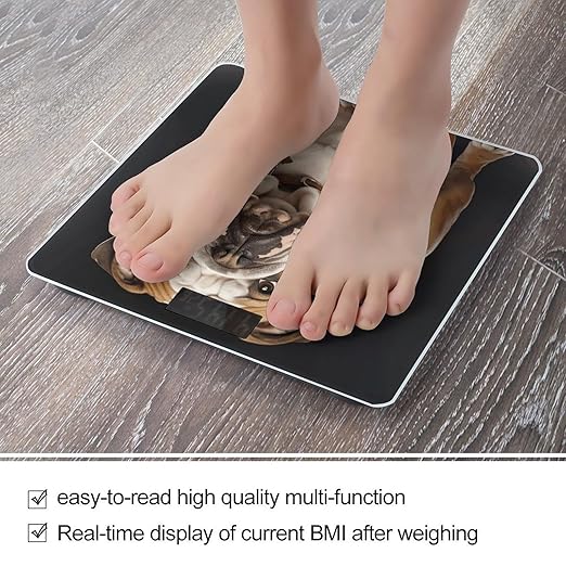 English Bulldog Bathroom Scale Automatic Power On/Off Body Scales LCD Backlight Display Square Digital Scale Rounded Corners Bathroom Scales for Home Bedrooms