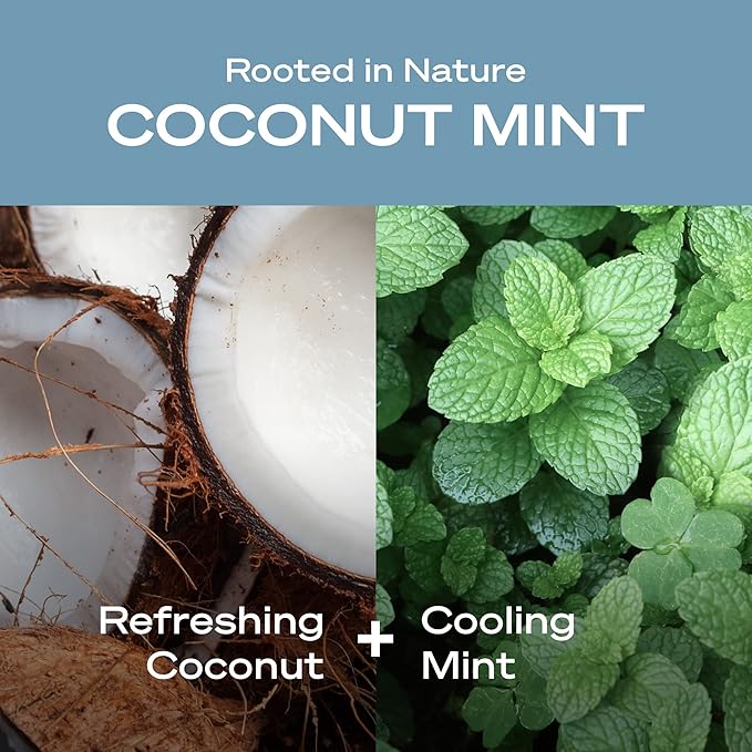 Hey Humans Coconut Mint Moisturizing Body Wash with Natural Ingredients &amp Jojoba Oil | Clean Vegan Sulfate Free Bath &amp Body Wash for Women &amp Men | Recyclable Bottle 14 fl. oz. - Pack of