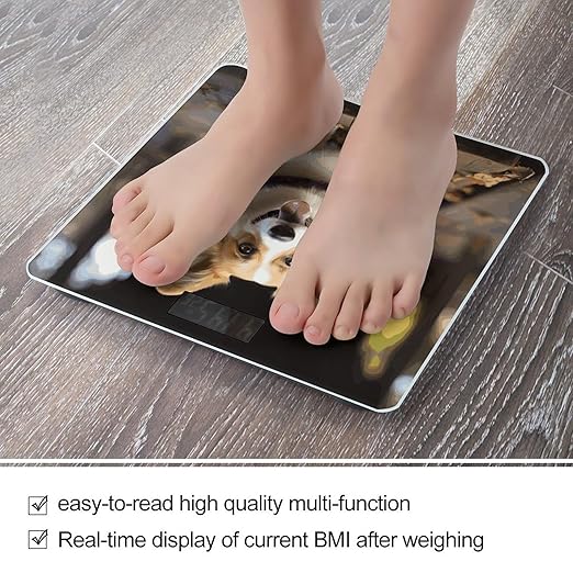 Dog Corg Bathroom Scale for Body Weight Bathroom Digital Electronic Weighing Scale with Back Lit LED Display Sturdy Tempered Glass Weight Watchers Scales 400lb