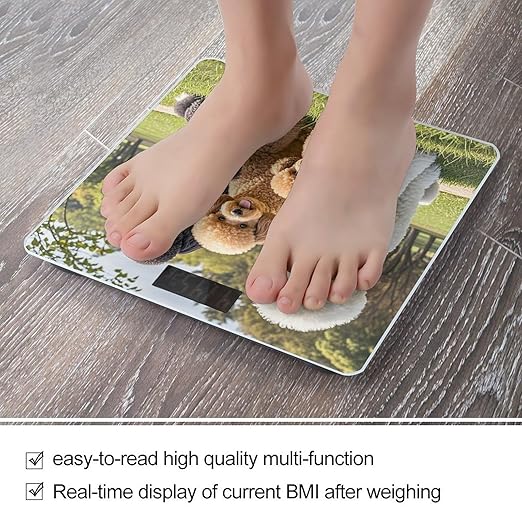 Poodles Dogs Scale for Body Weight Smart Scales Digital Bathroom Scale High Precision Weighing Scales with Large Display Weighing Machine for People