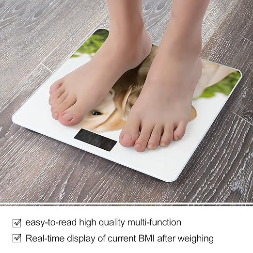 Funny Labrador Puppy Dog Weight Scale Large Bathroom Scales Digital Weight with Bright LED Display Non Slip Automatic Weighing Scale Fashion Weighing Machine for Body