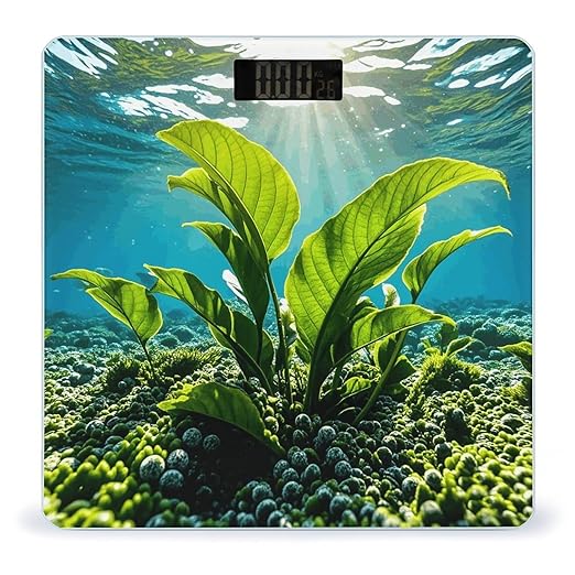 Green Sea Blue Seaweed Scale for Body Weight Digital Bathroom Scale Toughened Glass High Precision Scales for Body Weight with Large LCD Backlight Display Weight Scales