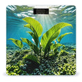 Green Sea Blue Seaweed Scale for Body Weight Digital Bathroom Scale Toughened Glass High Precision Scales for Body Weight with Large LCD Backlight Display Weight Scales