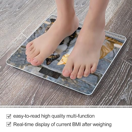 Cats Sitting Together Weight Scale Highly Accurate Digital Weighing Scale with Large LCD Display Smart Bathroom Scales for Home Bedrooms and Gift Giving