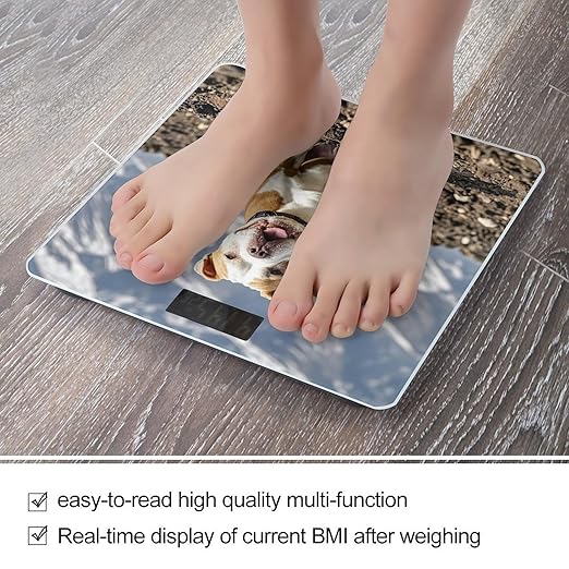 Pitbull Dogs Bathroom Scale Automatic Power On/Off Body Scales LCD Backlight Display Square Digital Scale Rounded Corners Bathroom Scales for Home Bedrooms