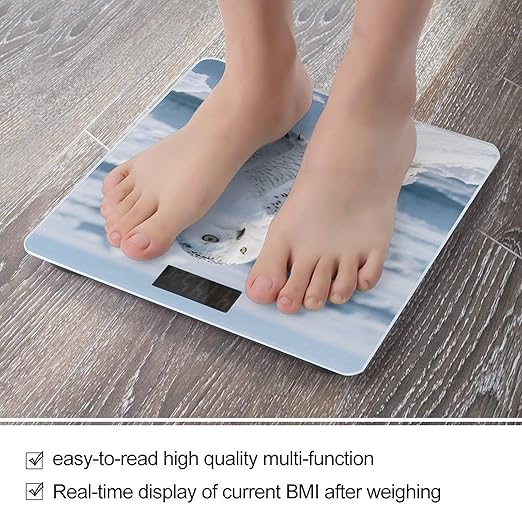 Snowy Owl on The Ice Weight Scale Cute Bathroom Scale for Body Highly Accurate Digital Weighing Machine for People Compact LCD Display Scales with Sturdy Toughened Glass Scales
