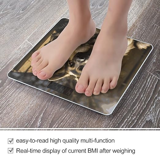 Digital Bathroom Scale for Body Weight Scale with Bright LCD Display High Accuracy Step-On Technology Auto On/Off German Shepherd Digital Scales 400 Lbs /180kg