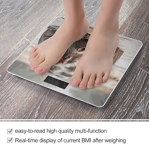 Hippopotamus in Water Scale for Body Weight Precision Bathroom Weighing Scales with Back Lit LCD Display Sturdy Tempered Glass Body Weight Scales Digital Bathroom Scale 400lb