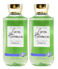 Bath &amp Body Works Coastal Hydrangeas 2 pack of Shower Gel