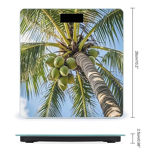 Coconut Tree Scale for Body Weight Accurate Digital Bathroom Scale Toughened Glass High Precision Scales Smart Weight Scales with Large LCD Backlight Display Weighing Machine