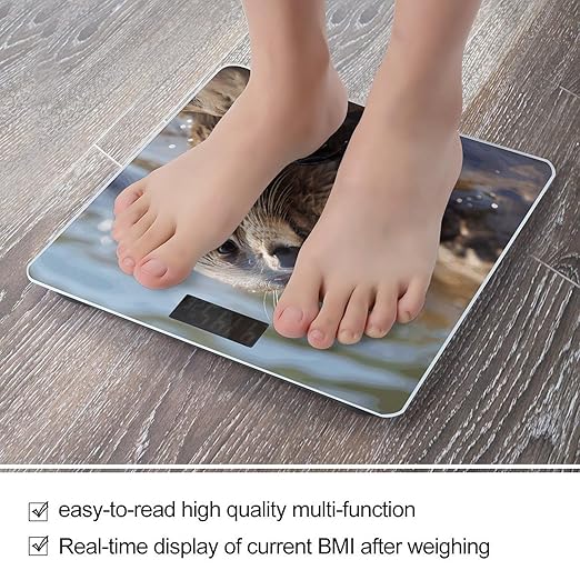 Otter Playing in The WaterScale for Body Weight with LCD High Precision Weighing Scales Fashion Sturdy Tempered Glass Weight Scales Easy-to-Read Digital Bathroom Scale for Daily 400lb