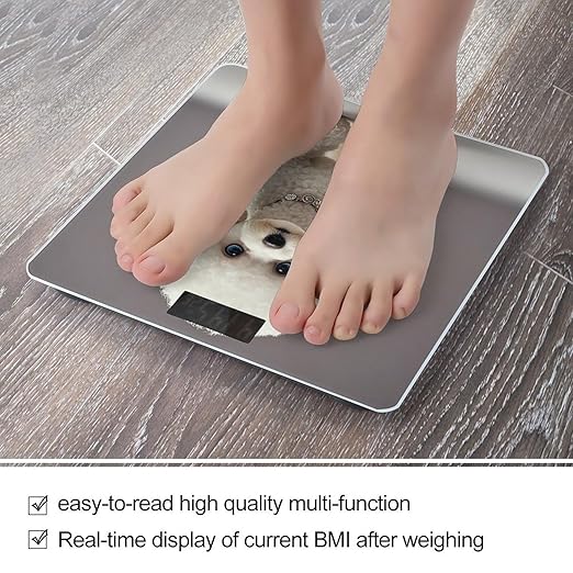 Poodle Smart Scale for Body Weight Accurate Bathroom Scale with LED Display Digital Weight Scales Weighing Machine High Precision Scales for Bath Home
