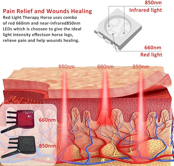 192 LED Red Light Therapy Device for Horse Leg Pain &amp Muscle Recovery | Portable Near Infrared Wrap for Horse Therapy | Deep Light Treatment for Large Horses