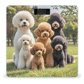 Poodles Dogs Scale for Body Weight Smart Scales Digital Bathroom Scale High Precision Weighing Scales with Large Display Weighing Machine for People