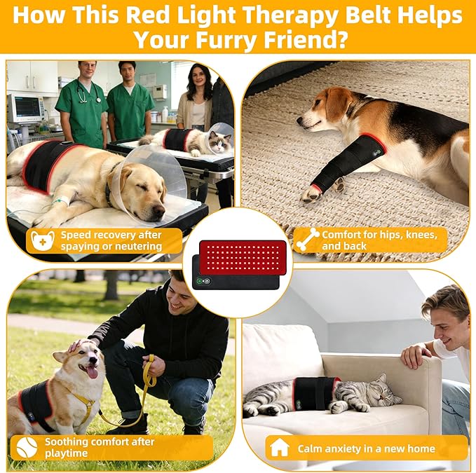 Pets Red Light Therapy Belt LED Infrared Light Therapy for Dogs and Cats with 80 LEDs 660nm and 850nm RedWearable Device for Pain Relief