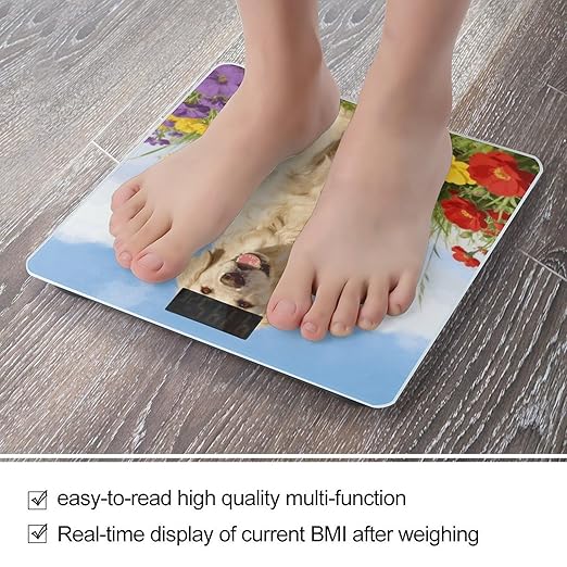 Beige-Animals Smart Scale for Body Weight Digital Bathroom Scale Toughened Glass Weight Scale with Large LCD Backlight Display High Precision Scales Weighing Machine