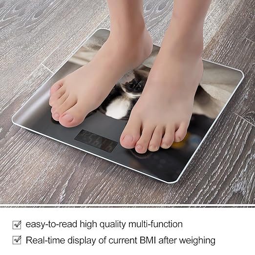 Cute Boston Terrier Bathroom Scale Large LCD Backlight Display Digital Scale Rounded Corners Body Scales Automatic Power On/Off Bathroom Scales for Home Bedrooms
