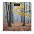 Mist Pervades Scale for Body Weight Smart Scales Digital Bathroom Scale High Precision Weighing Scales with Large Display Weighing Machine for People