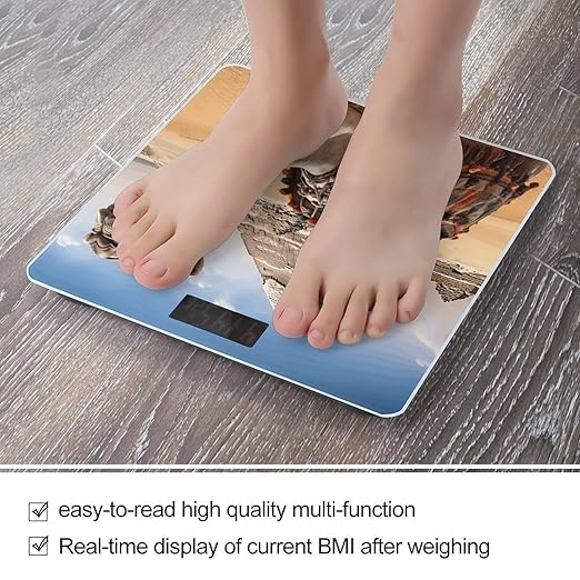 Pyramid Camel Bathroom Scale Large LCD Backlight Display Digital Scale Rounded Corners Body Scales Automatic Power On/Off Bathroom Scales for Home Bedrooms