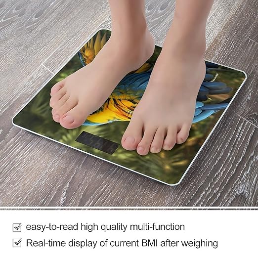 Yellow Wings Blue Parrot Bathroom Scale Automatic Power On/Off Body Scales LCD Backlight Display Square Digital Scale Rounded Corners Bathroom Scales for Home Bedrooms