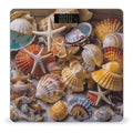 Sea Shell Treasures Scale for Body Weight Highly Accurate Digital Bathroom Scale Sturdy Tempered Glass Weighing Scales with LCD Display Fashion Body Fat Smart Scales 400lb