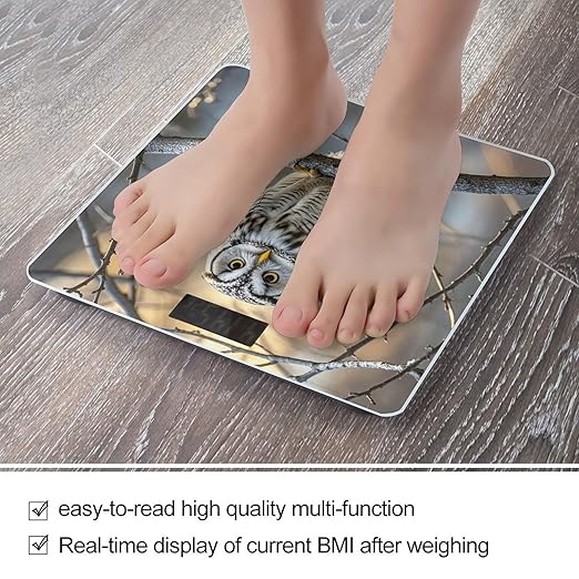 Owl on A Branch Bathroom Scale for Body Weight Bathroom Weighing Scales with Back Lit LED Display Sturdy Tempered Glass Body Weight Bathroom Scale 400lb Weighing