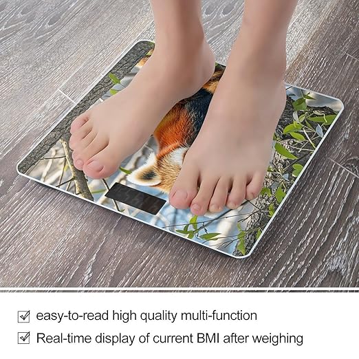 Little Red Panda Bathroom Scale for Body Weight Bathroom Digital Electronic Weighing Scale with Back Lit LED Display Sturdy Tempered Glass Weight Watchers Scales 400lb
