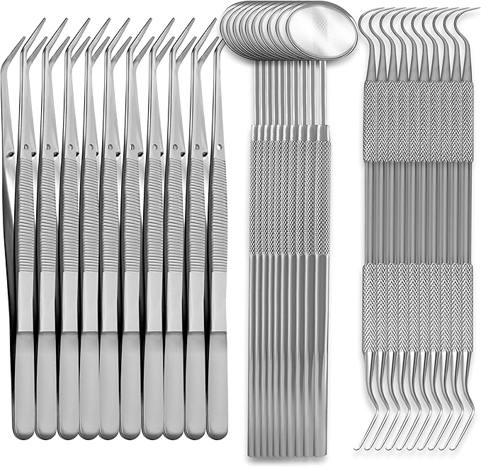Student Professional Training Dental Hygiene Kit Stainless Steel Tools Set Plaque Removal Instruments (10)