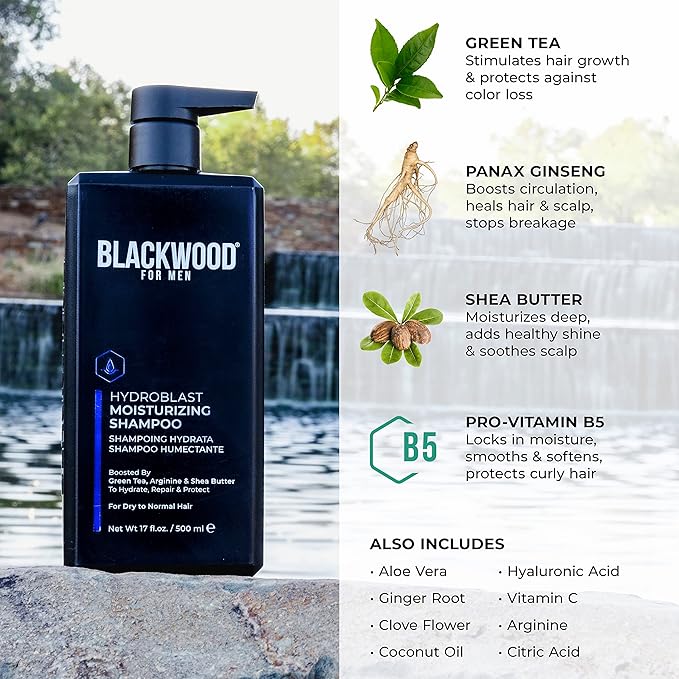 Blackwood For Men Hydroblast Moisturizing Shampoo &amp Pure Moisture Body Wash - Vegan Nourishing Hair &amp Skin Duo with Ginseng Ginger &amp Menthol - Sulfate Paraben &amp Cruelty-Free (17 Oz