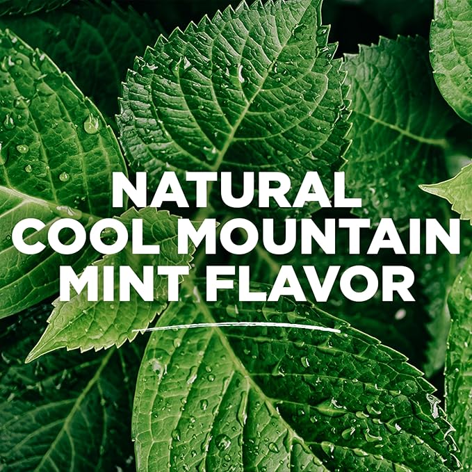 Tom's of Maine Natural Wicked Fresh Alcohol-Free Mouthwash Cool Mountain Mint 16 oz. 6-Pack (Packaging May Vary)