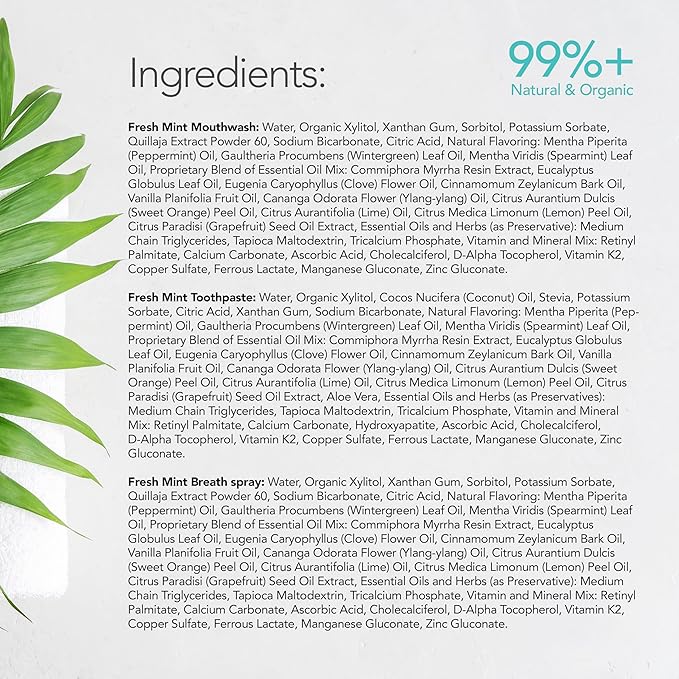 ORL Natural 60-Day Oral Care Kit Includes 1 Toothpaste 2 Mouthwashes 2 Breath Sprays 2 Toothbrushes 1 Floss. Eco-Friendly Fluoride-Free Vegan Gluten-Free and Non-Toxic. Fresh Mint
